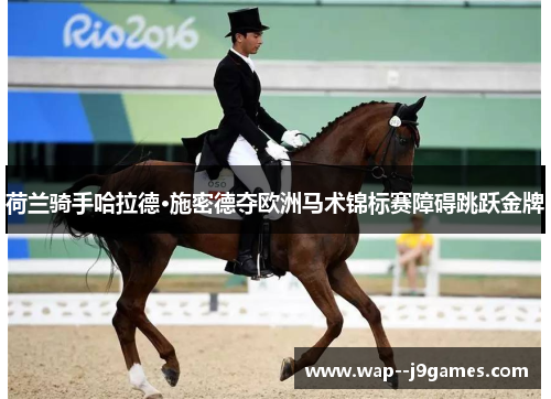 荷兰骑手哈拉德·施密德夺欧洲马术锦标赛障碍跳跃金牌 荷兰骑手哈拉德·施密德夺欧洲马术锦标赛障碍跳跃金牌