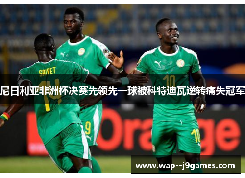 尼日利亚非洲杯决赛先领先一球被科特迪瓦逆转痛失冠军