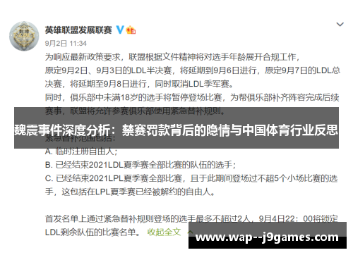 魏震事件深度分析：禁赛罚款背后的隐情与中国体育行业反思